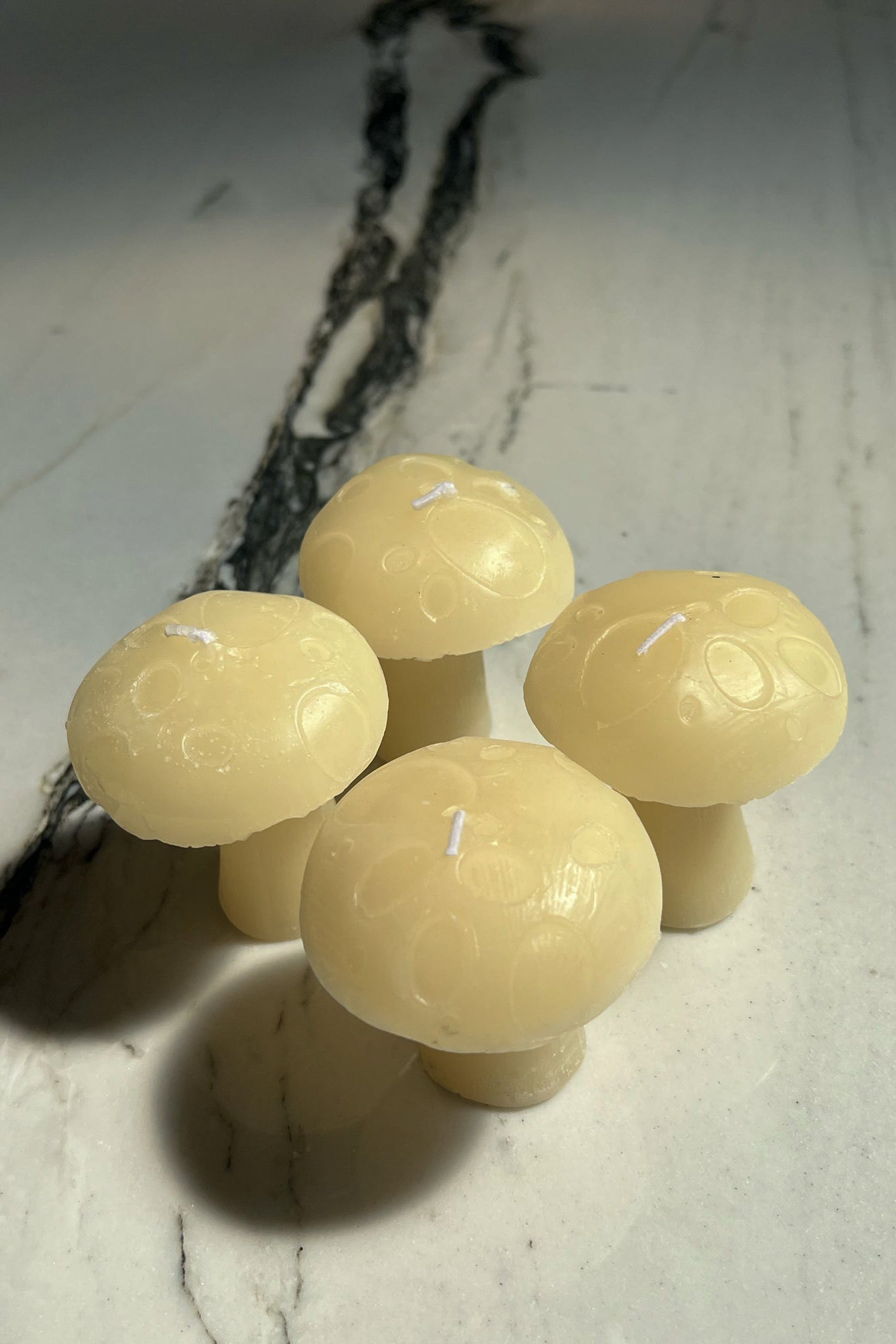 Champignon Candle