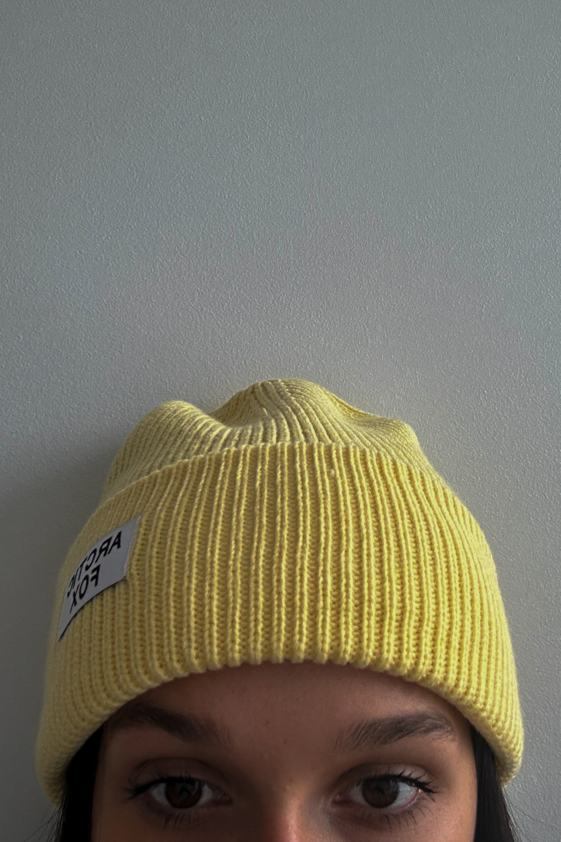 Recycled Bottle Beanie