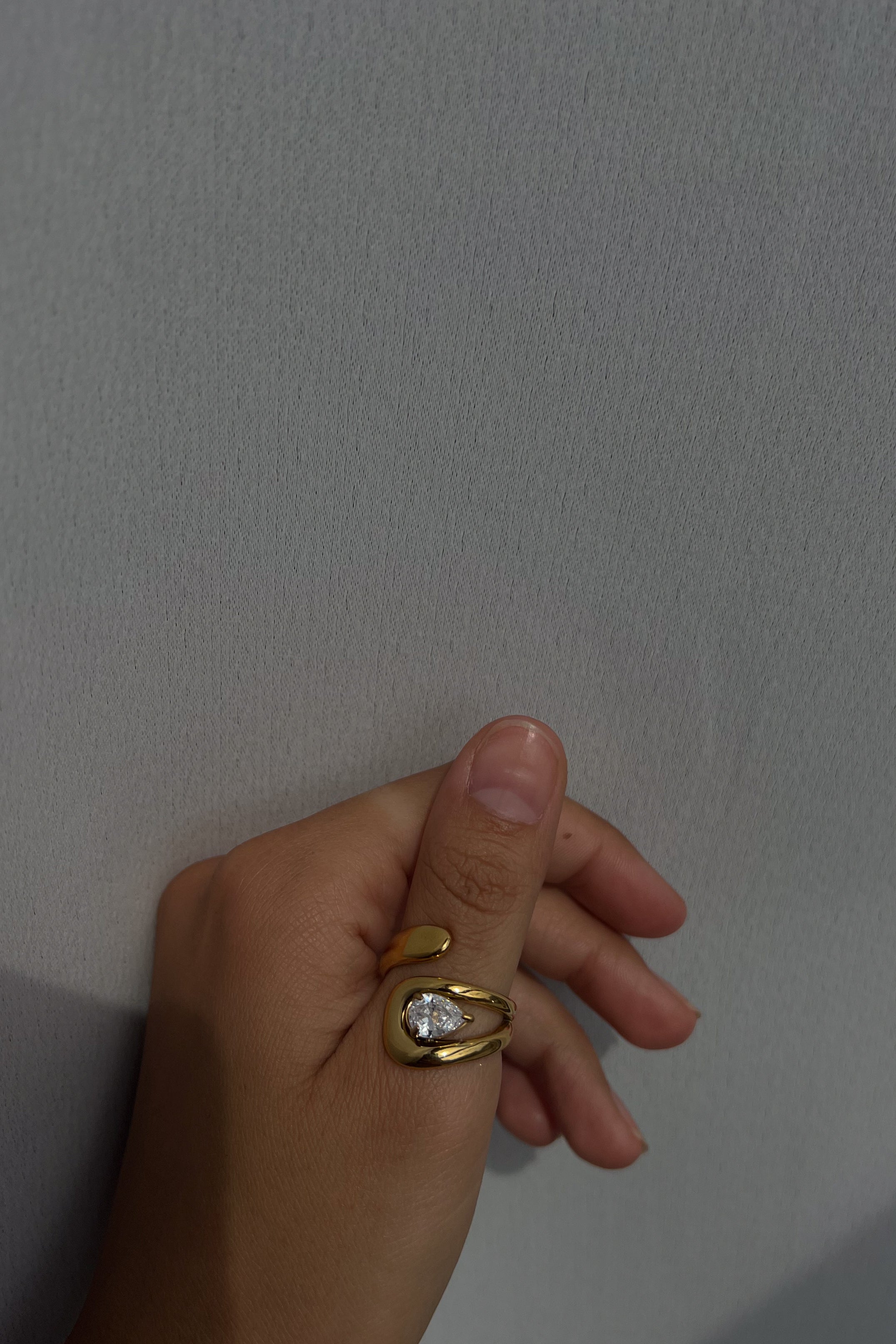 Ronnie Ring