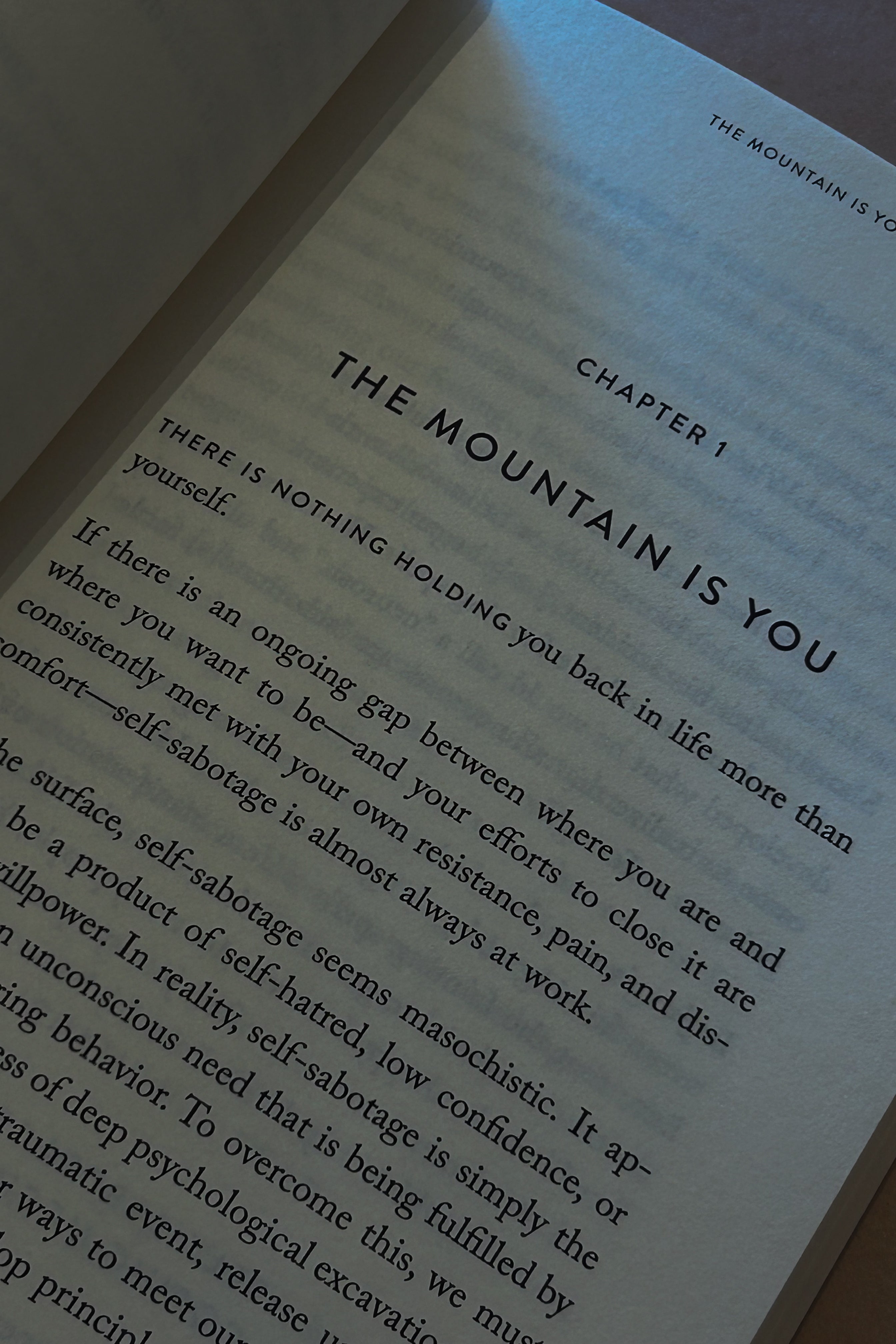 The Mountain Is You