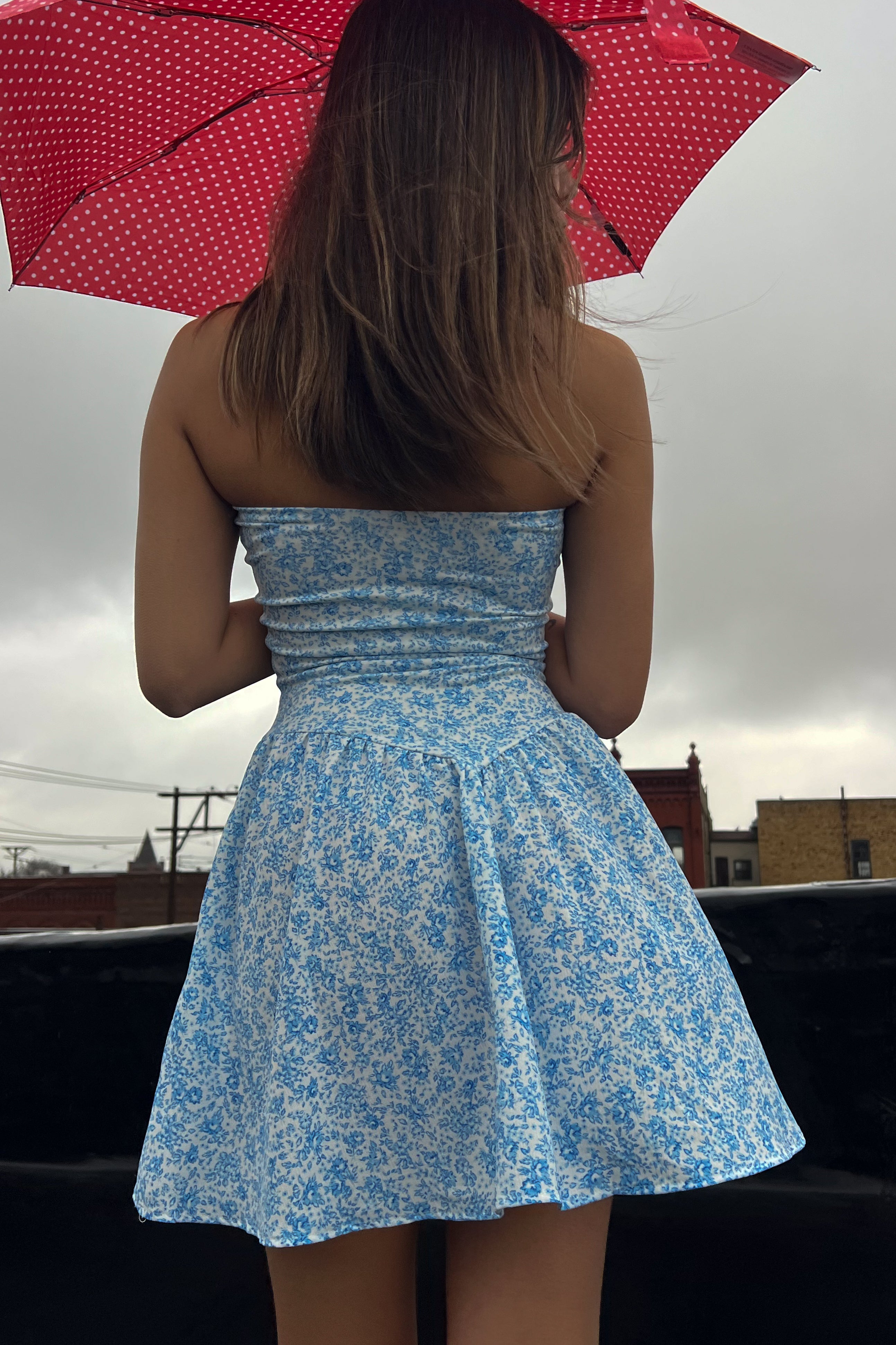 Makie Mini Dress