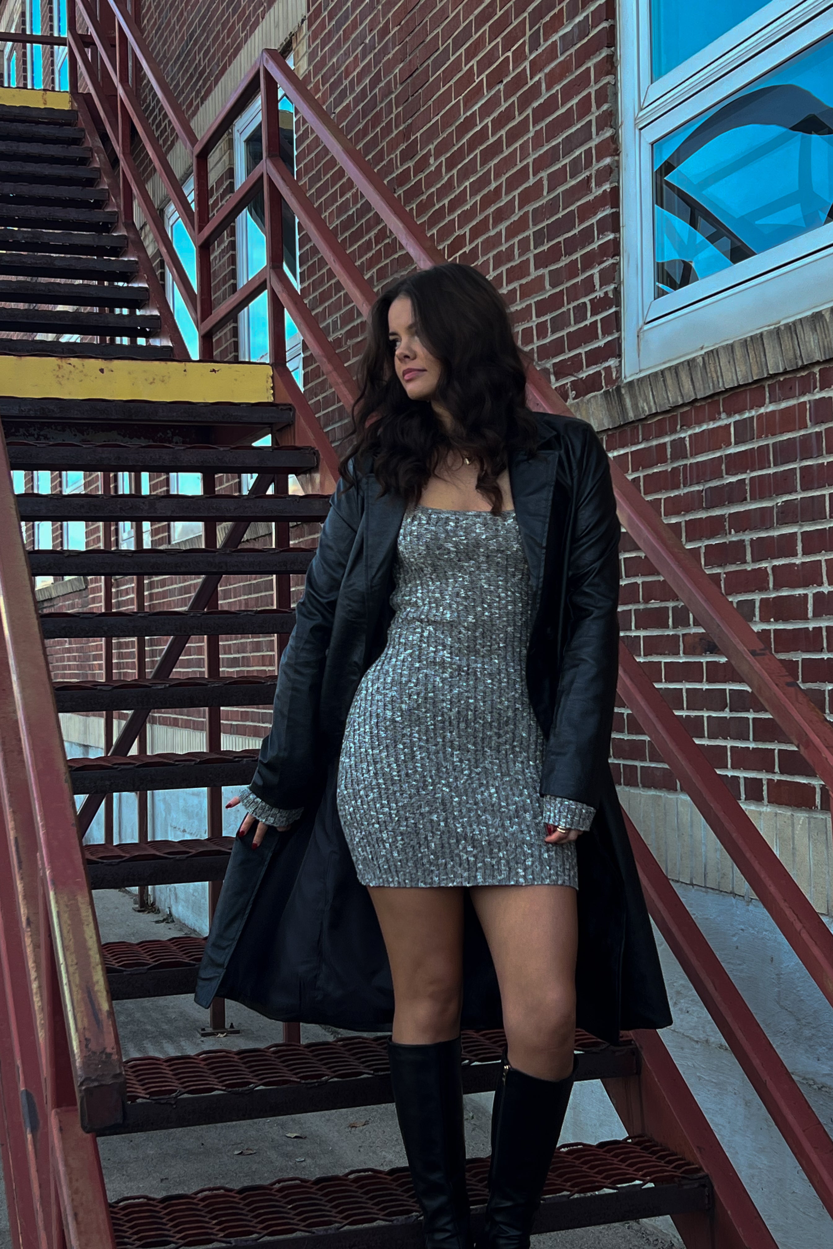 Alpine Mini Dress