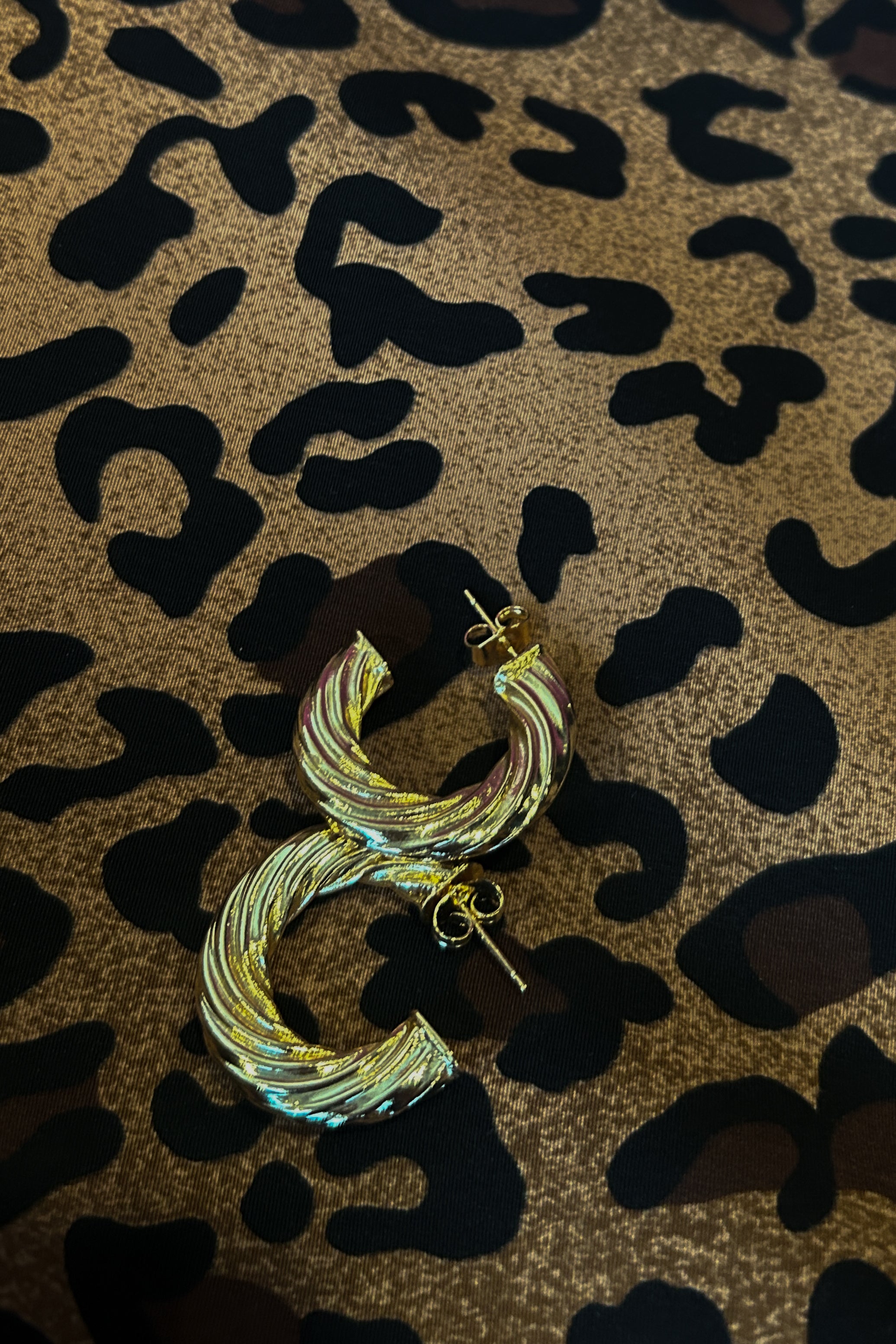 Pesci Earrings