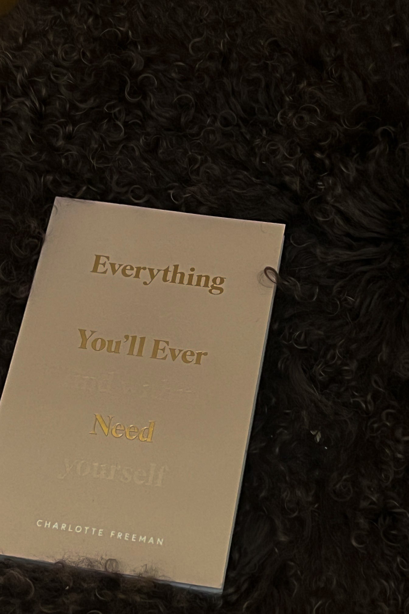 Everything You'll Ever Need You'll Find Within Yourself
