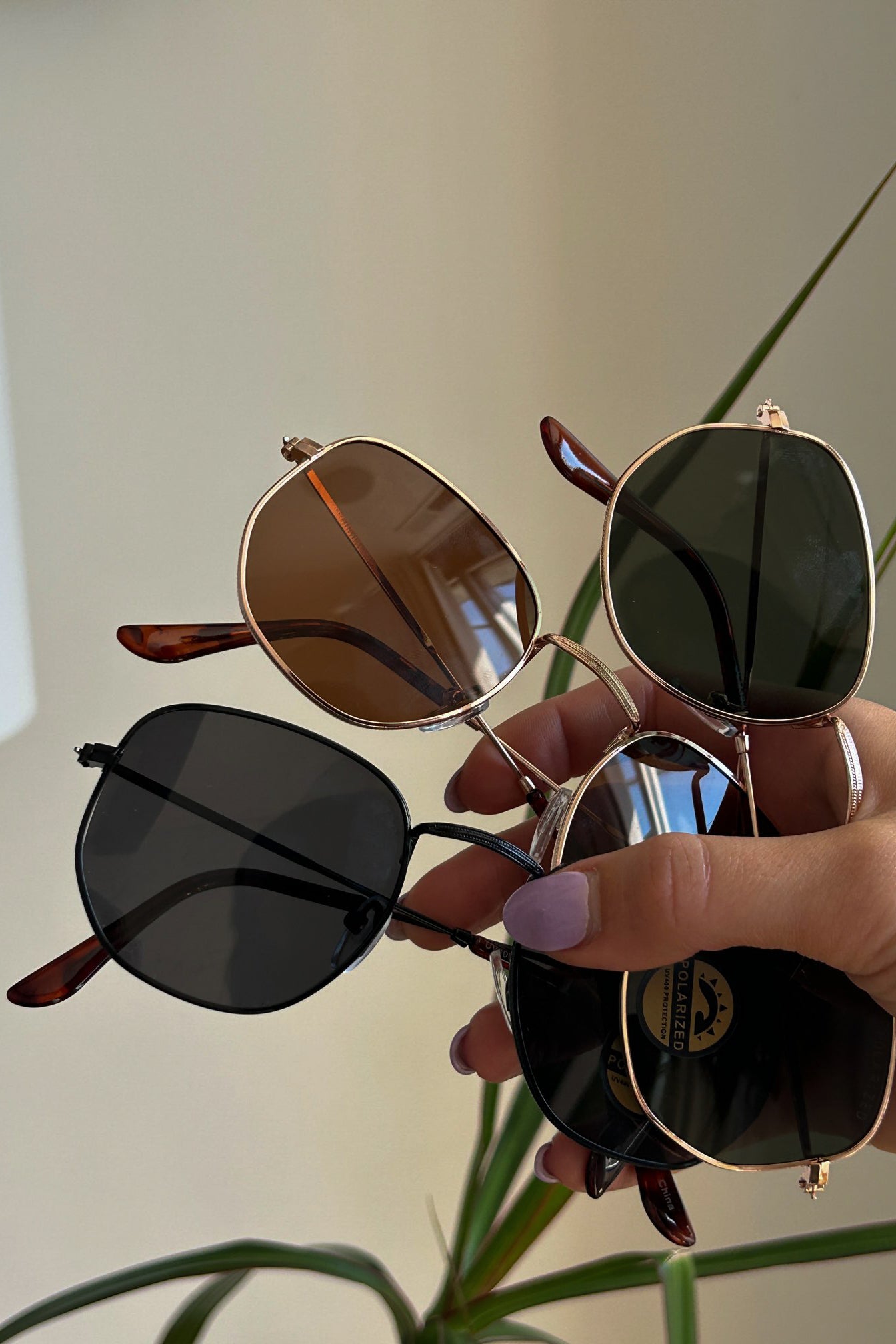 Up North Sunglasses