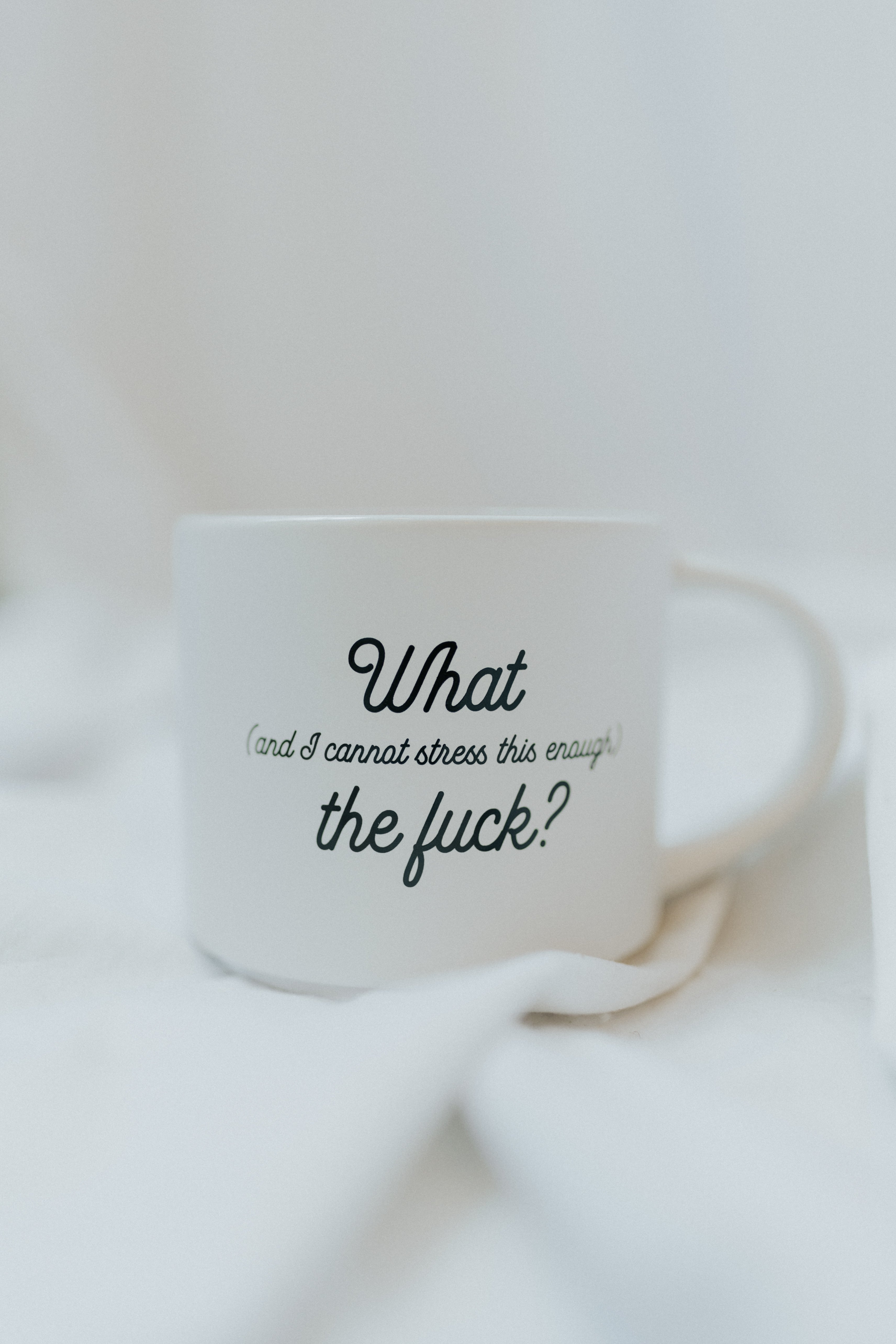 I Cannot Stress This Enough Ceramic Coffee Mug
