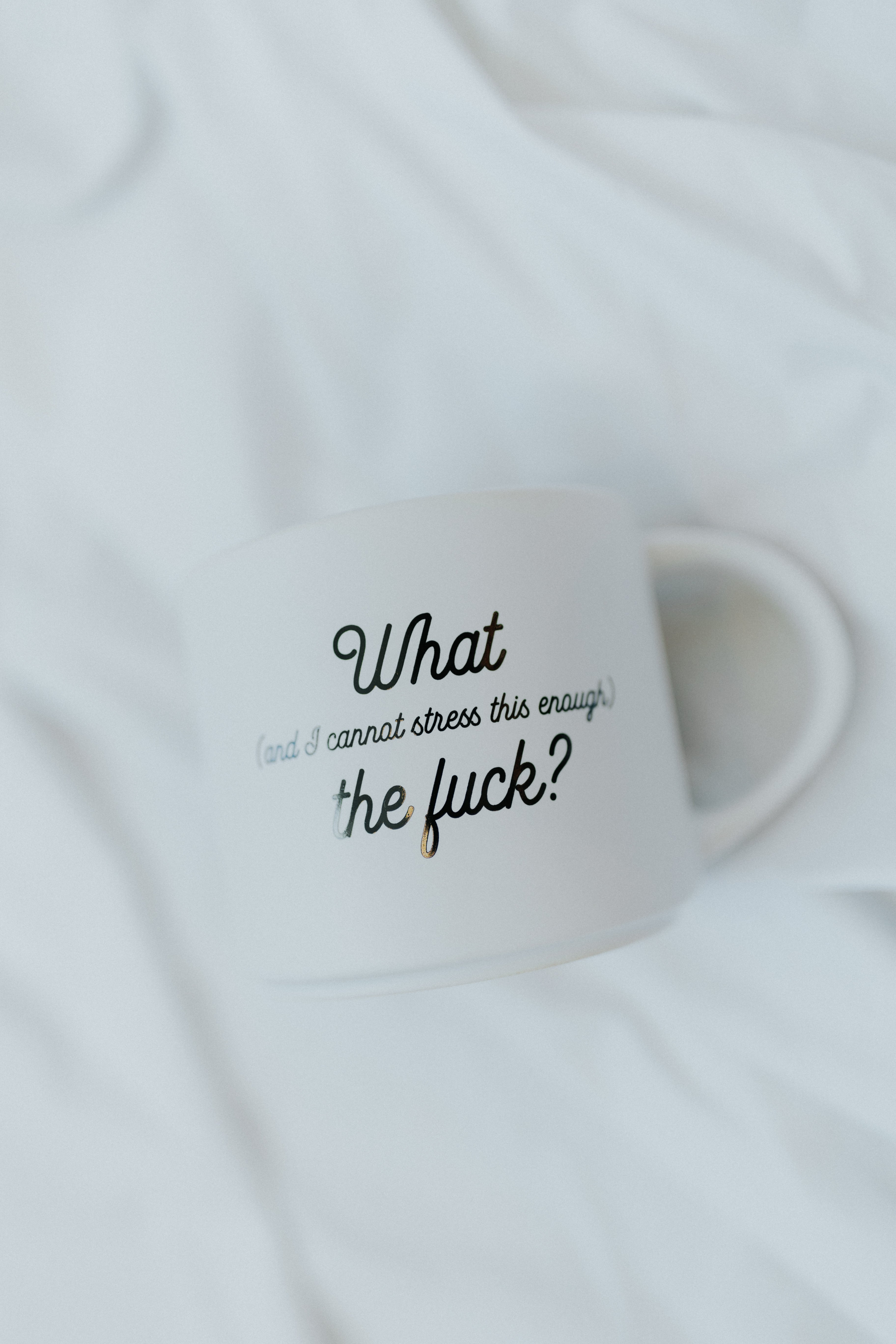 I Cannot Stress This Enough Ceramic Coffee Mug