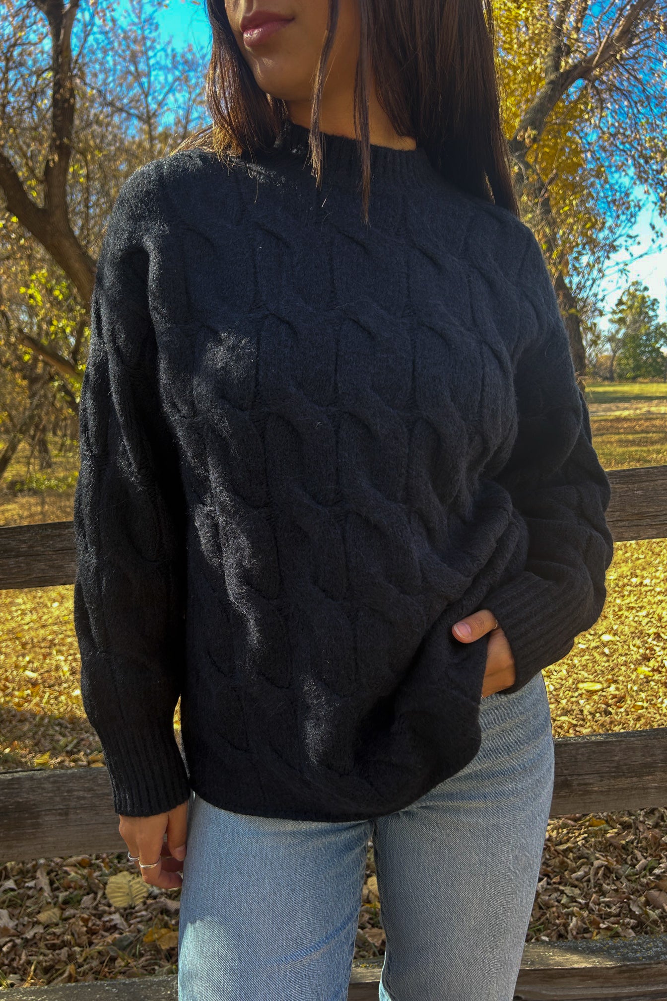 In the Stables Sweater