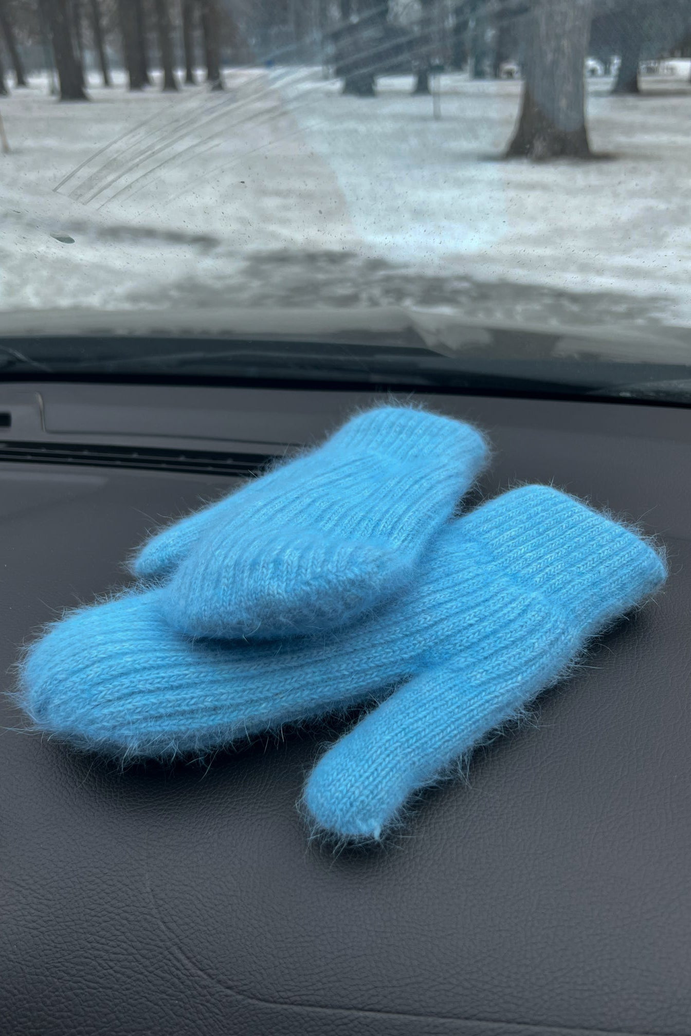 Chilly SZN Mittens