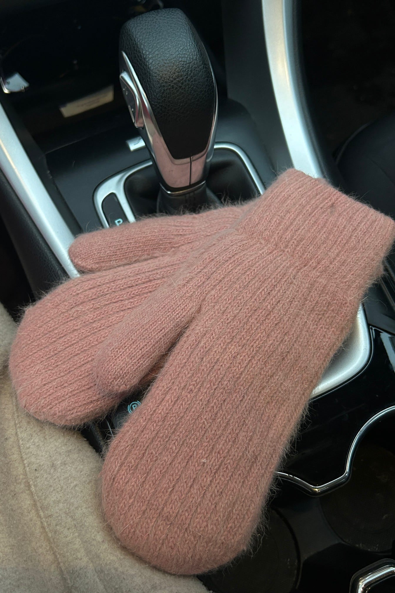 Chilly SZN Mittens