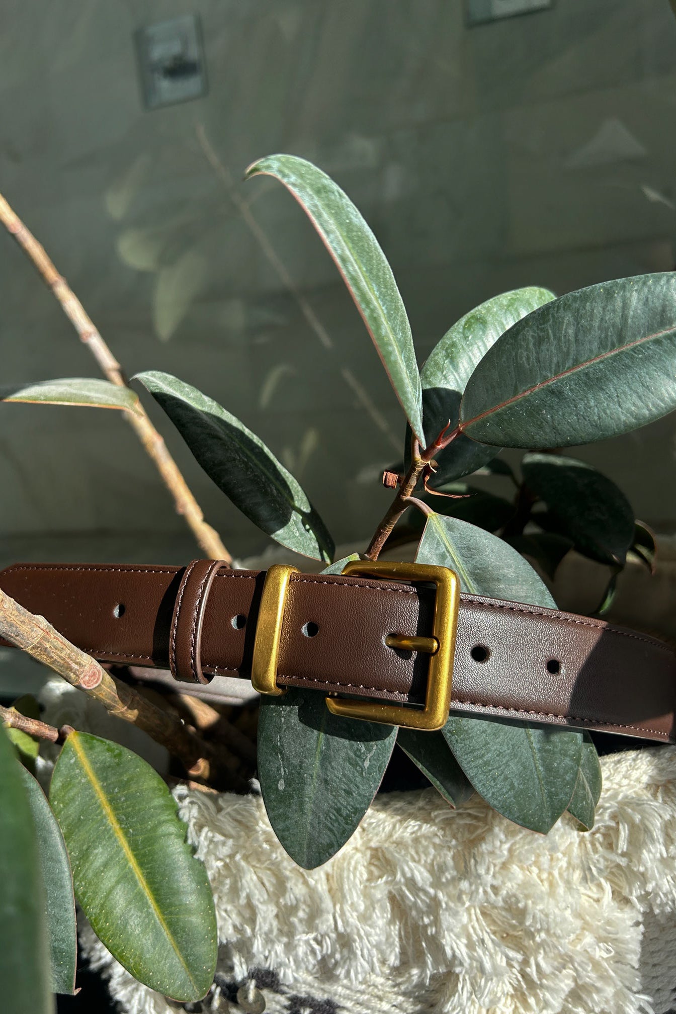 Bridget Jones Urban Heritage Belt