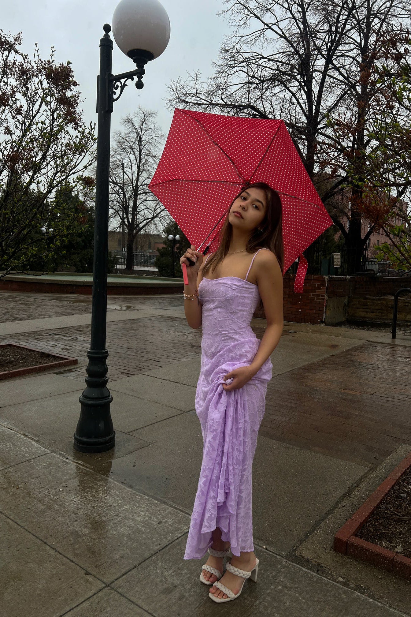Lavender Maxi Dress