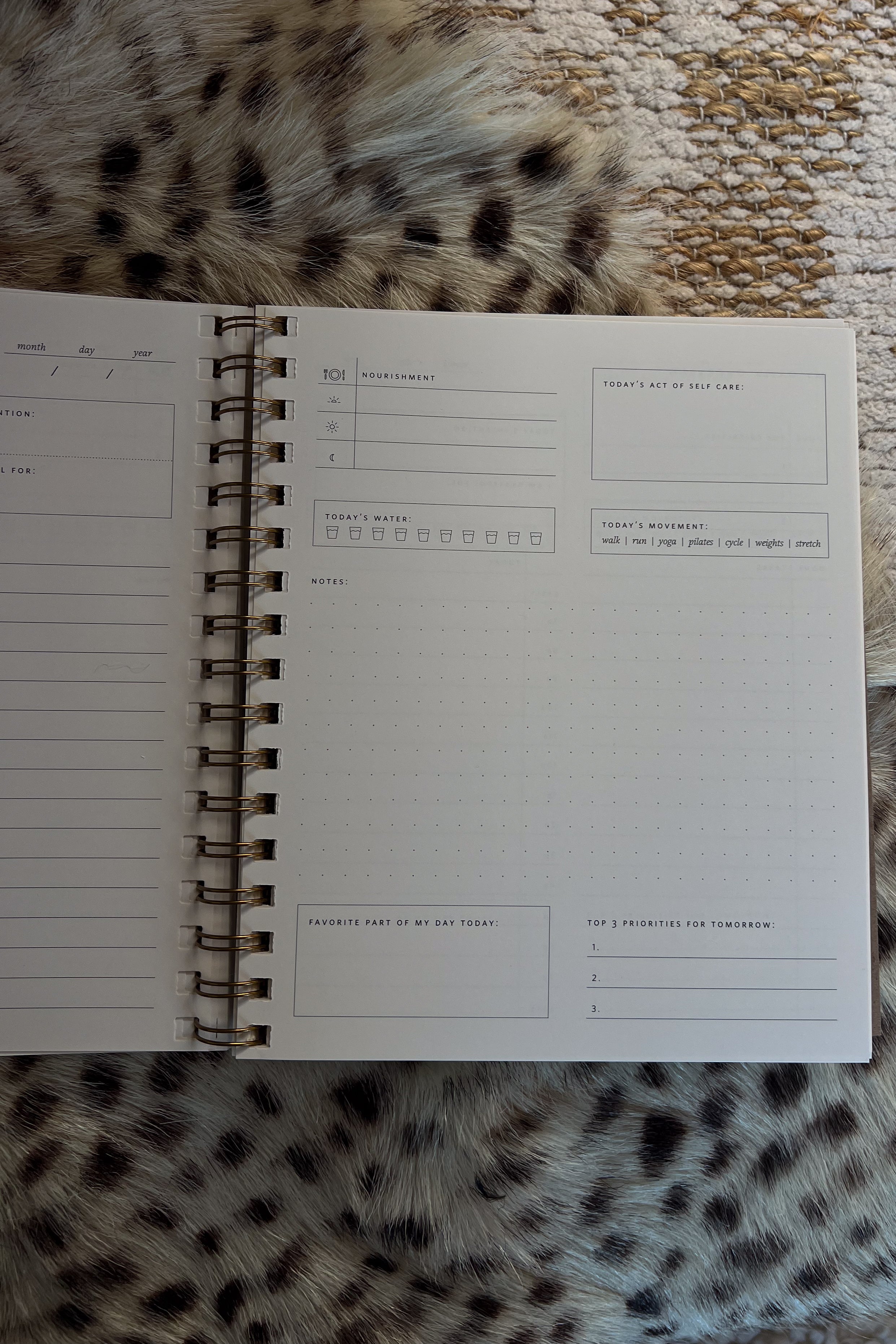 Daily Overview Planner