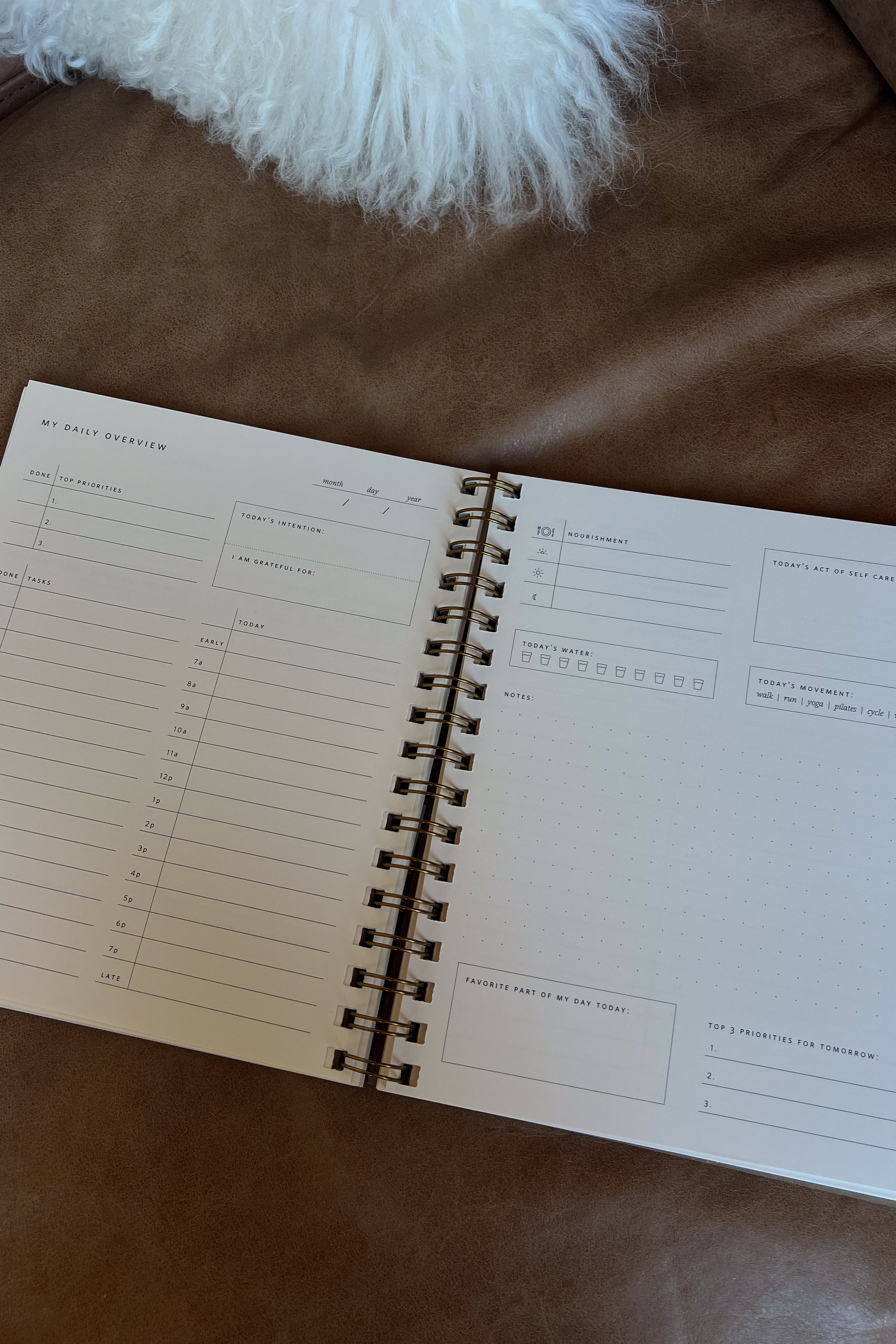 Daily Overview Planner