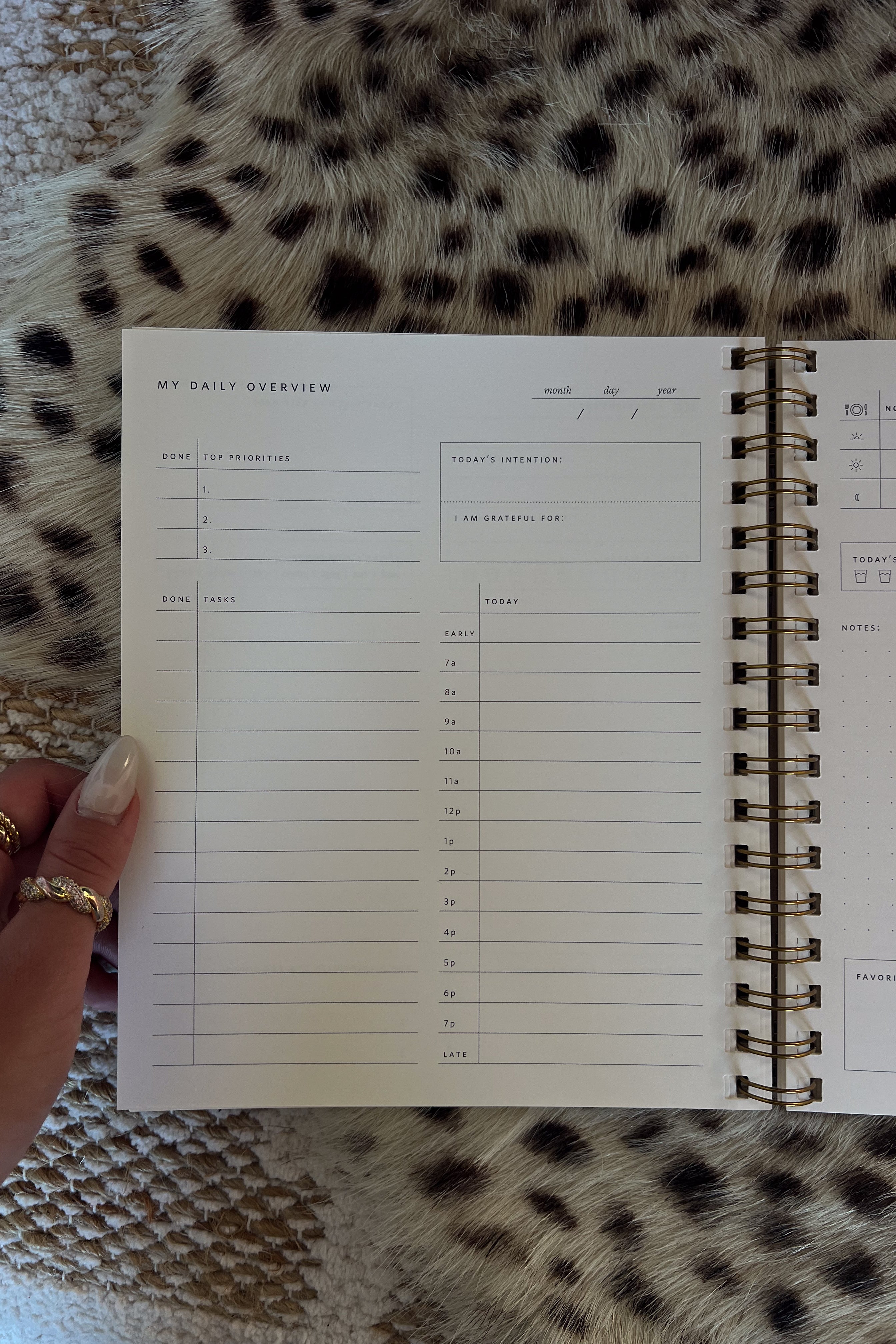 Daily Overview Planner
