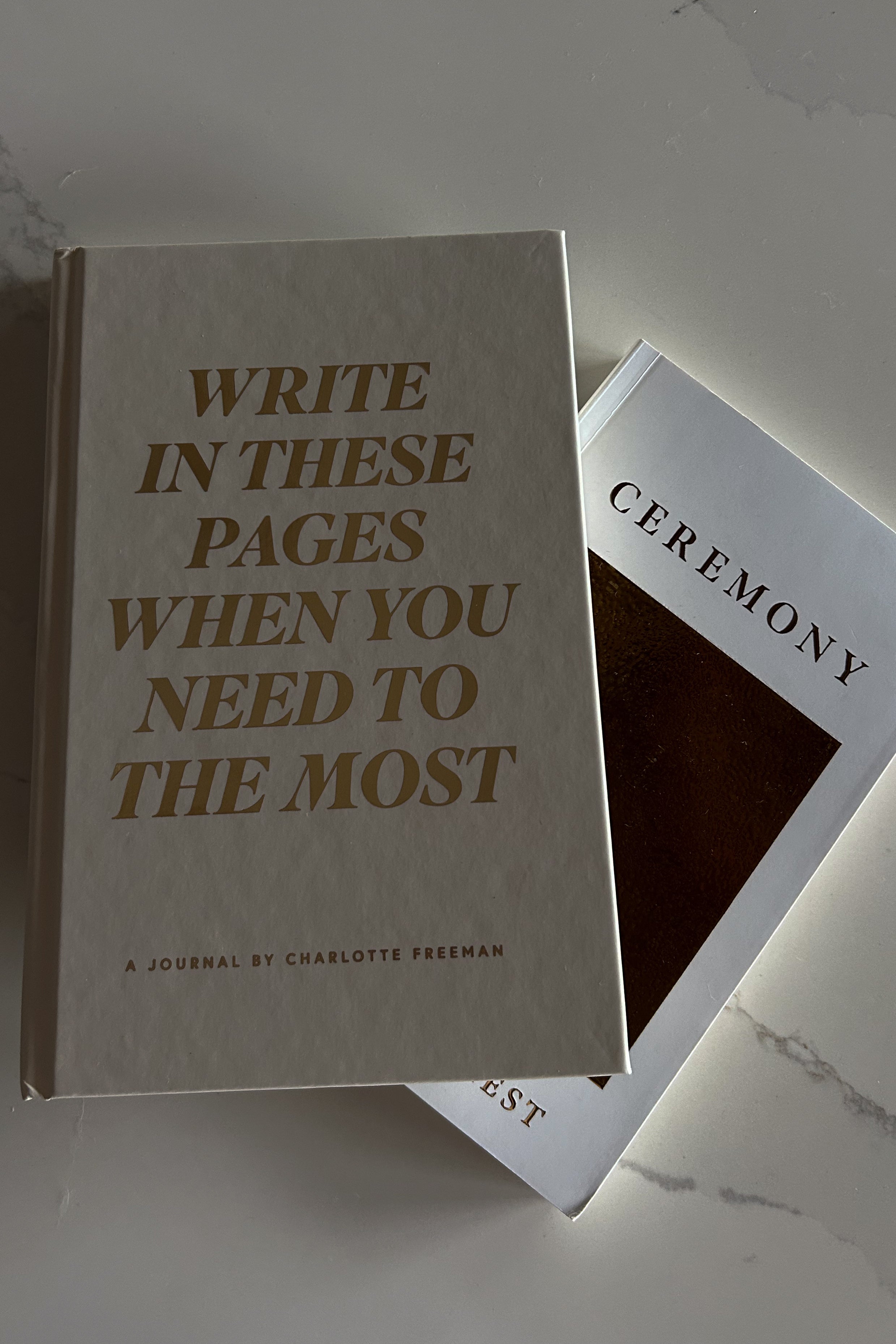 Write In These Pages Journal