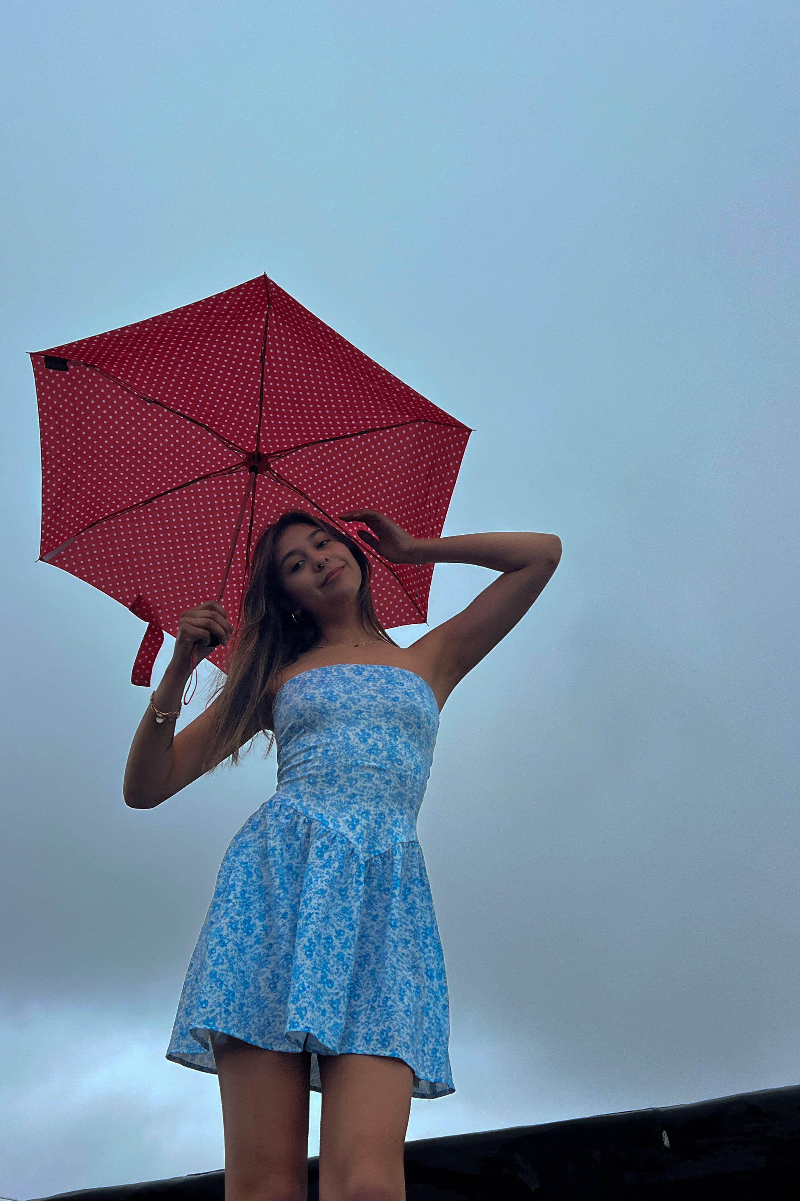 Makie Mini Dress