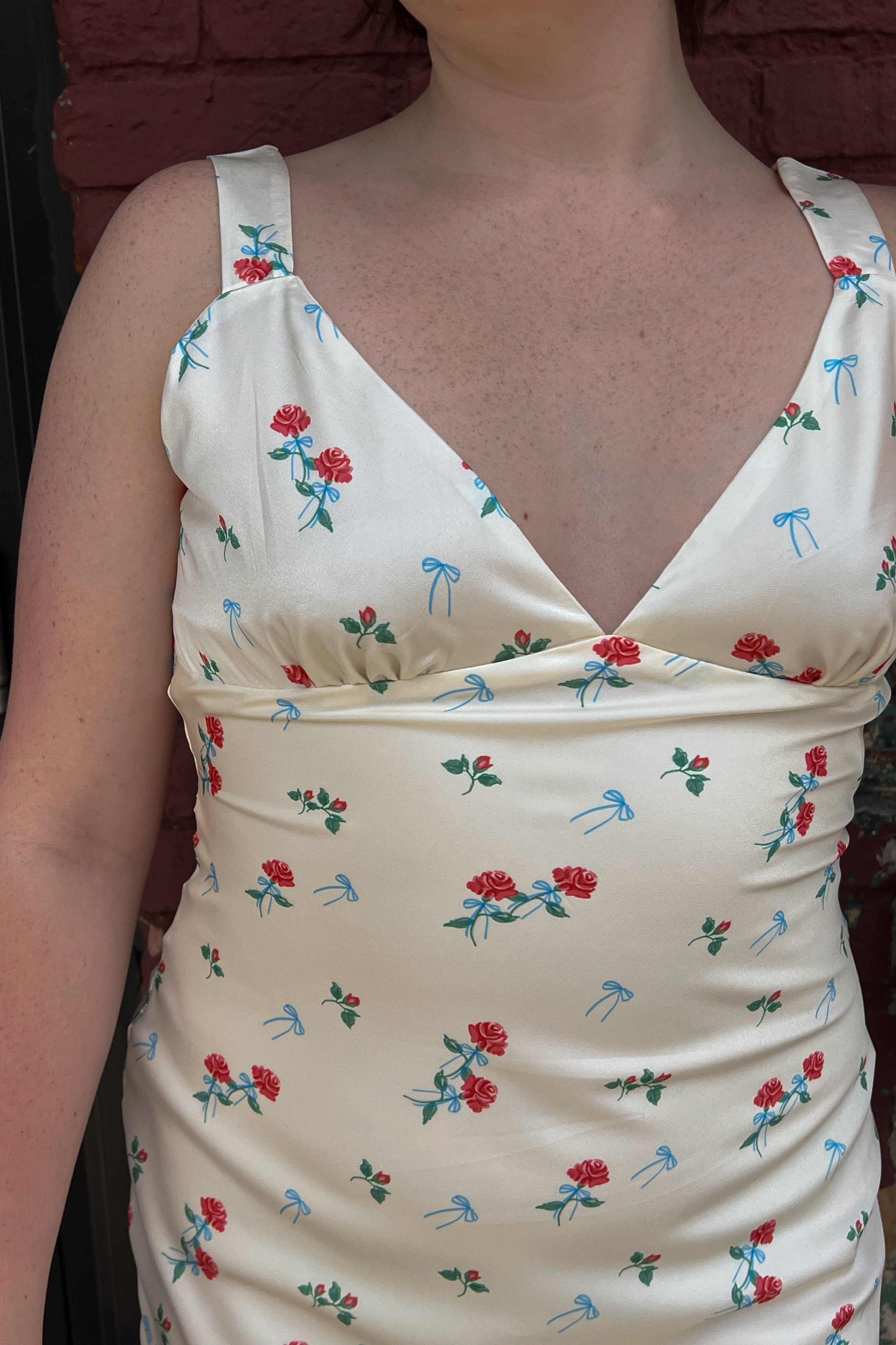 Red Roses Mini Dress