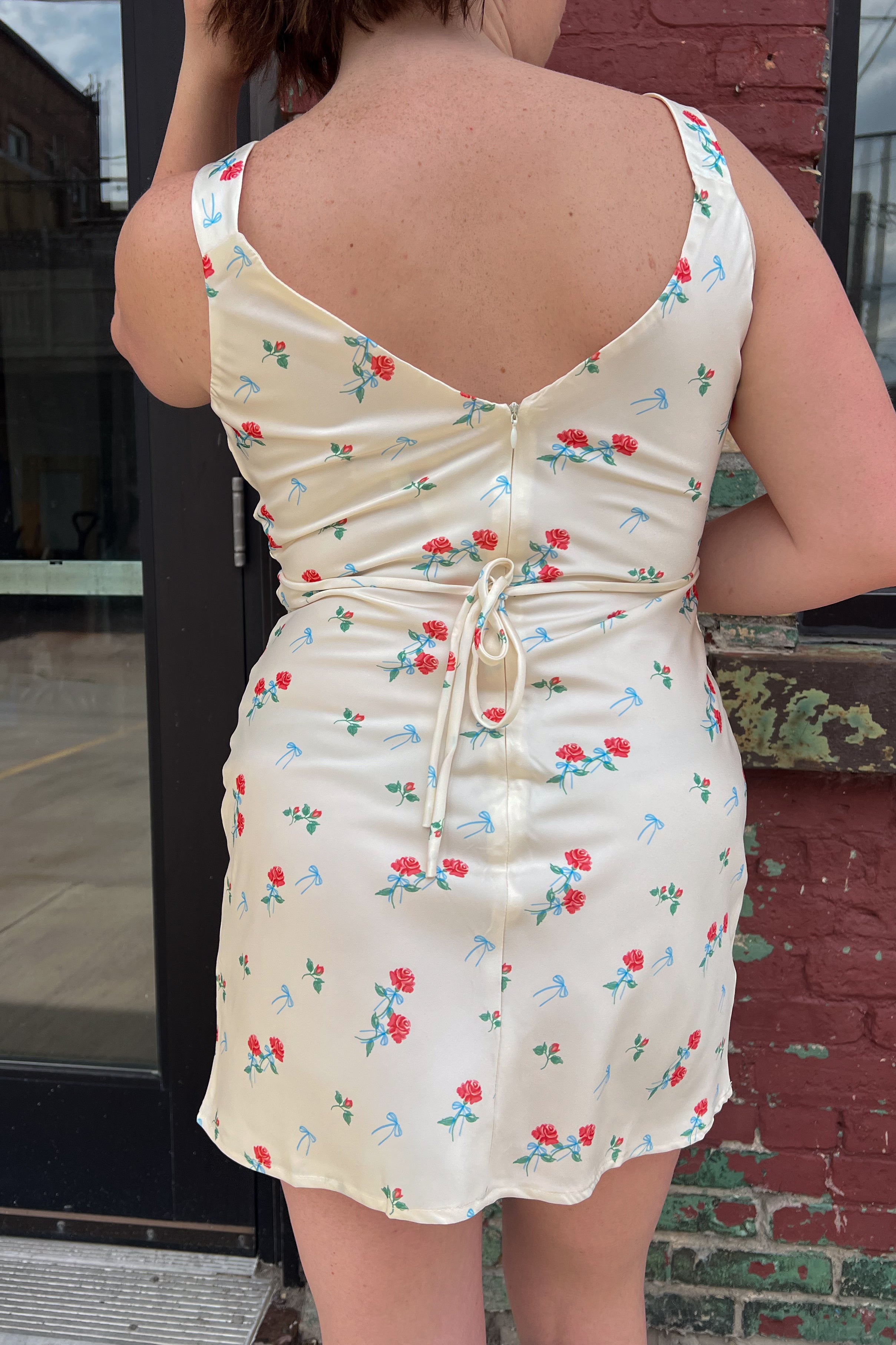 Red Roses Mini Dress
