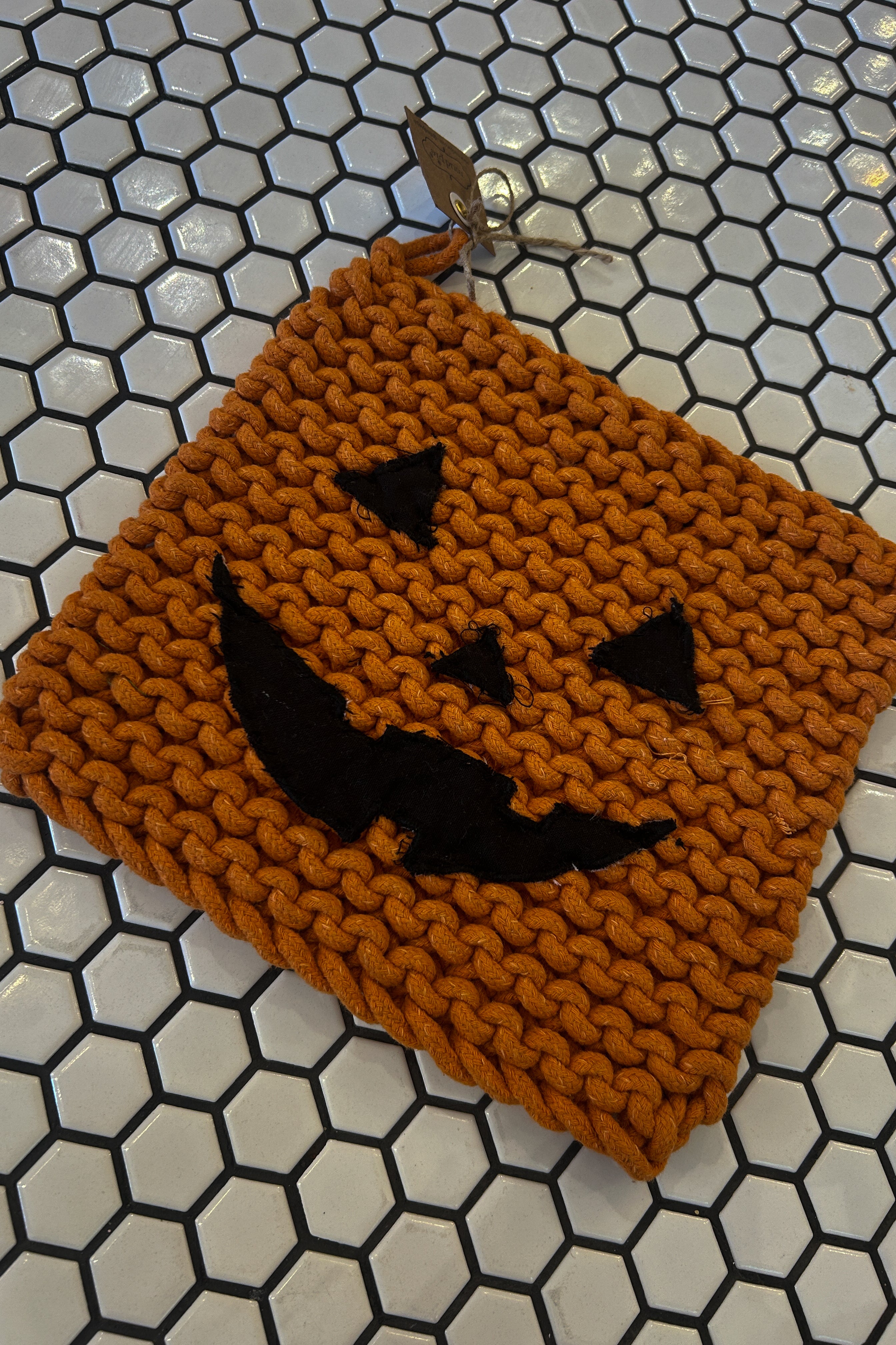 Halloween Pot Holder