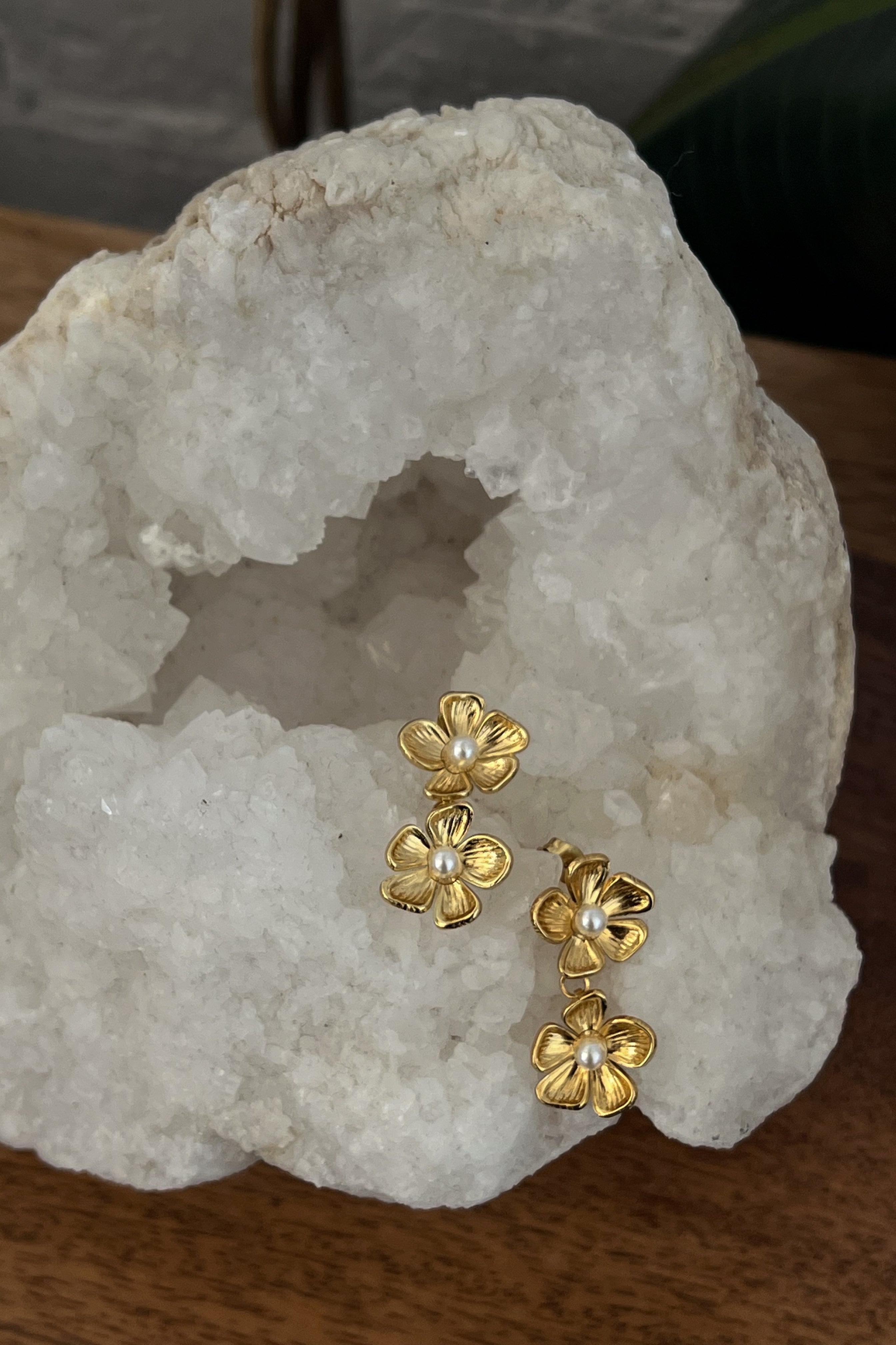 Butterflies Earrings