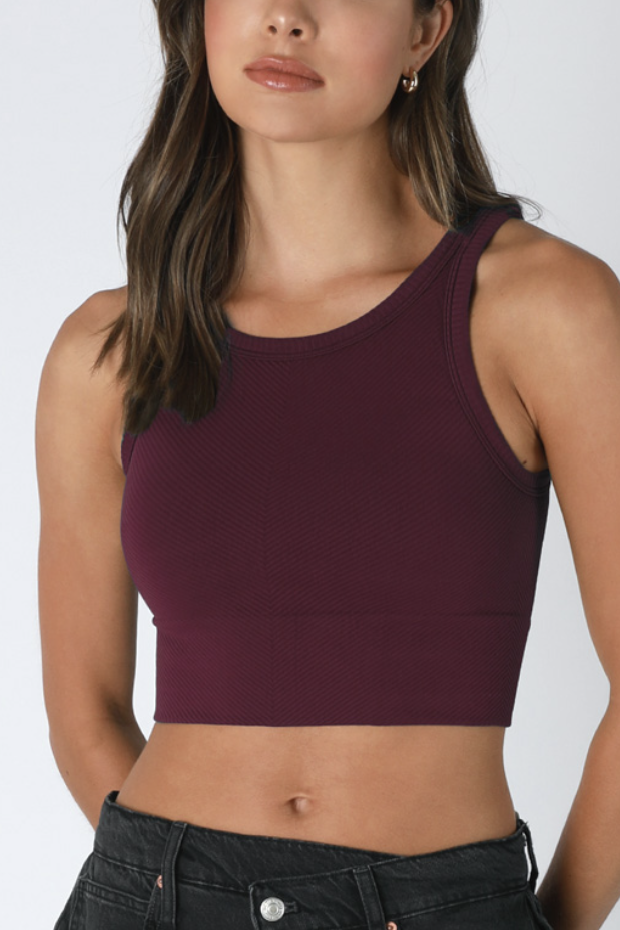 Zara Basic High Neck Crop Top