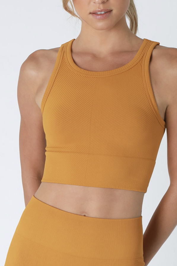 Zara Basic High Neck Crop Top